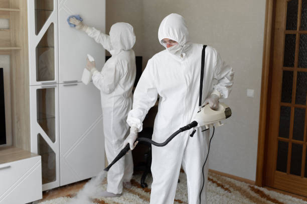 Best Residential Mold Remediation in Rialto, CA